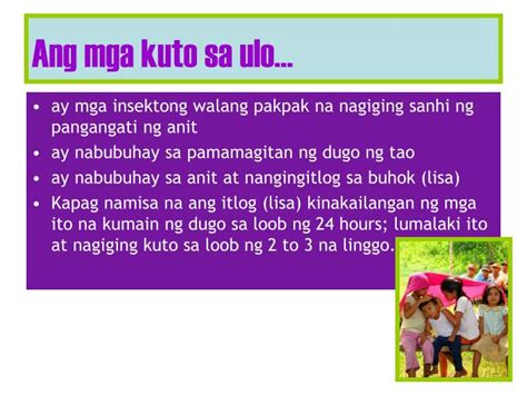 Pinugaran ng kuto ang ulo .